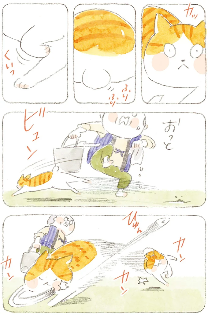 『ねことじいちゃん』6～11 15824670.webp