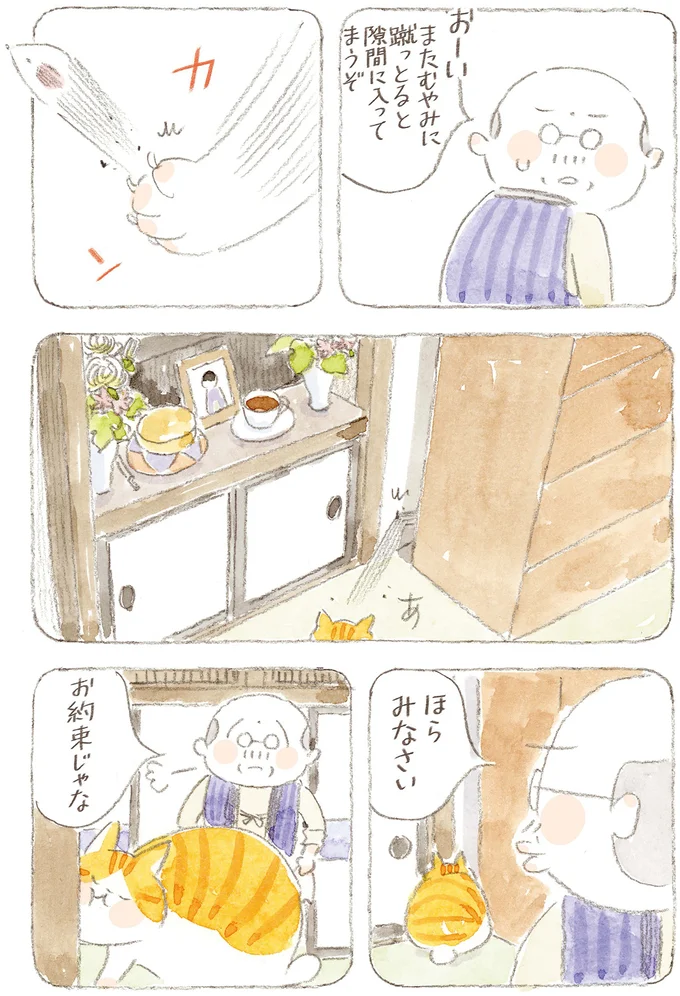 『ねことじいちゃん』6～11 15824671.webp