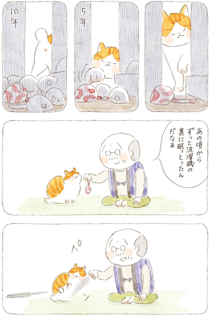 『ねことじいちゃん』6～11 15824677.webp