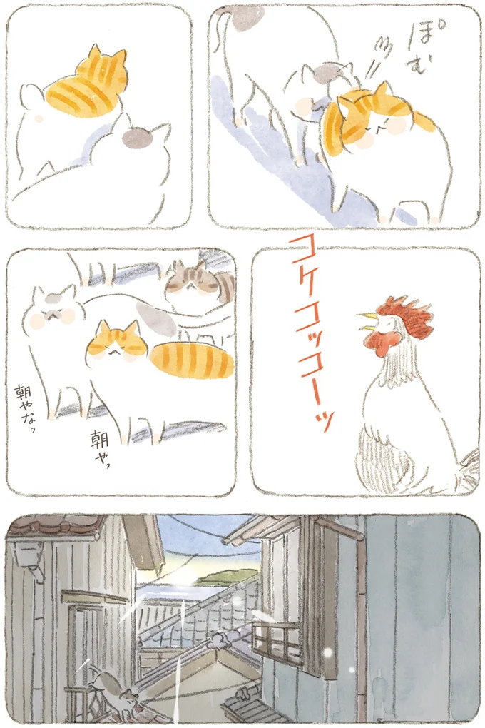 『ねことじいちゃん』6～11 15824687.webp