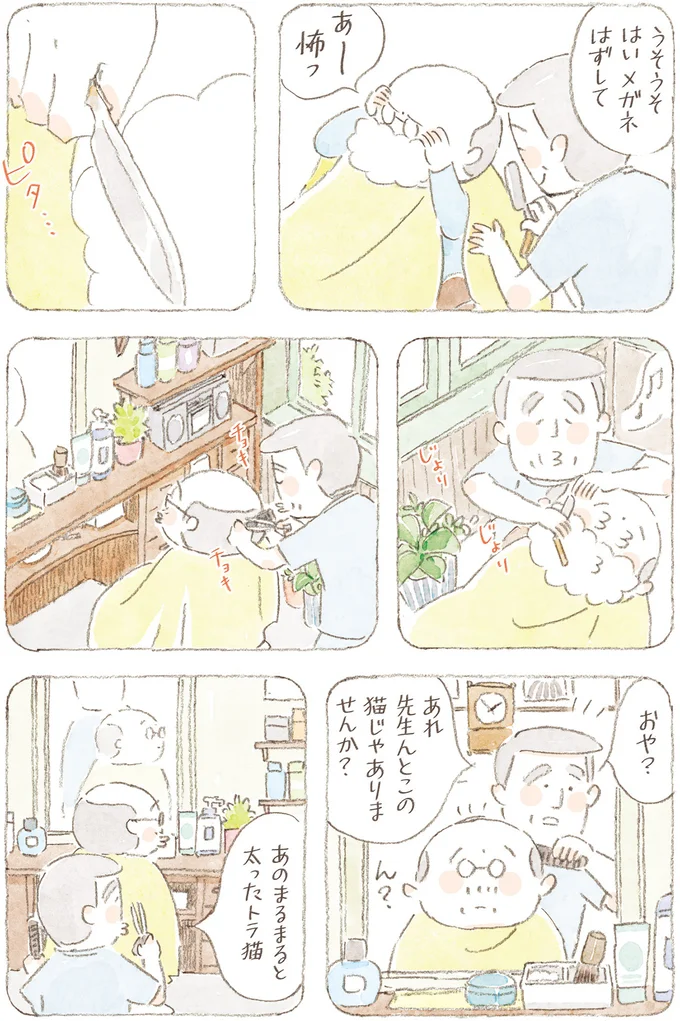 『ねことじいちゃん』6～11 15824719.webp