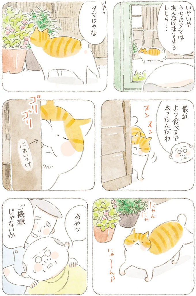 『ねことじいちゃん』6～11 15824720.webp