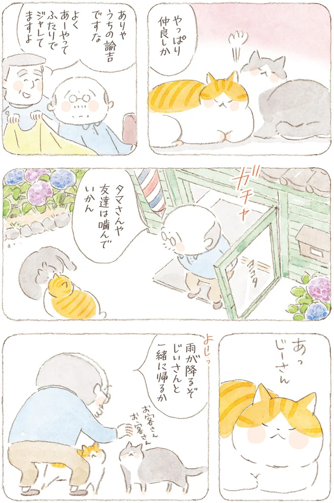 『ねことじいちゃん』6～11 15824722.webp