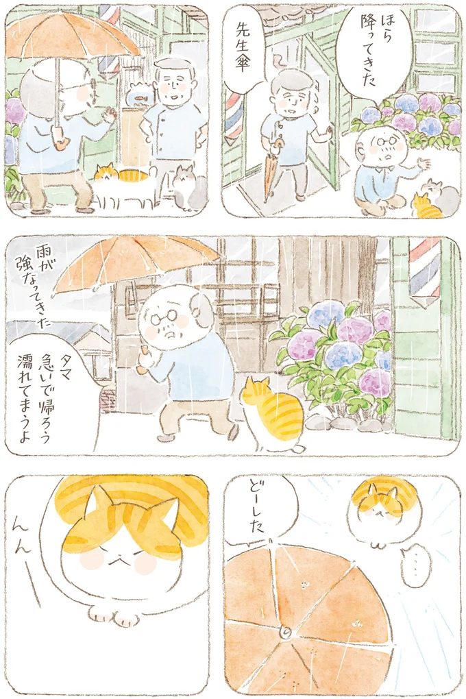 『ねことじいちゃん』6～11 15824723.webp