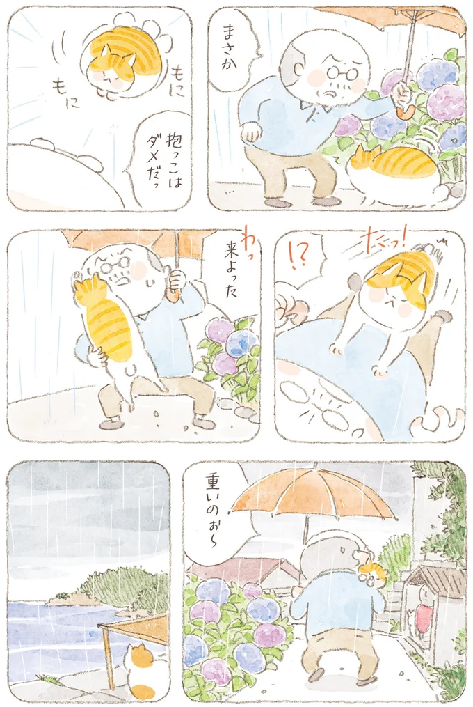 『ねことじいちゃん』6～11 15824724.webp