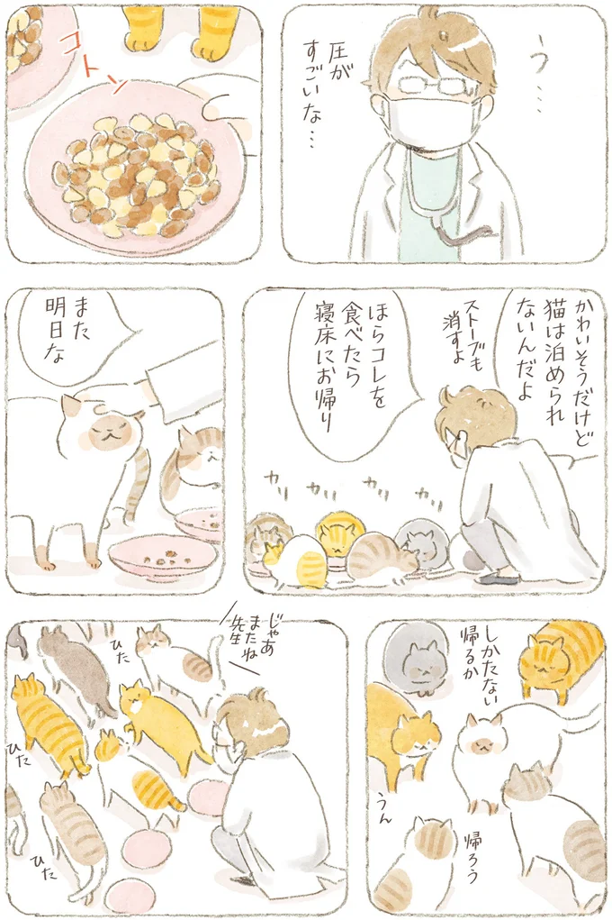 『ねことじいちゃん』6～11 15824748.webp