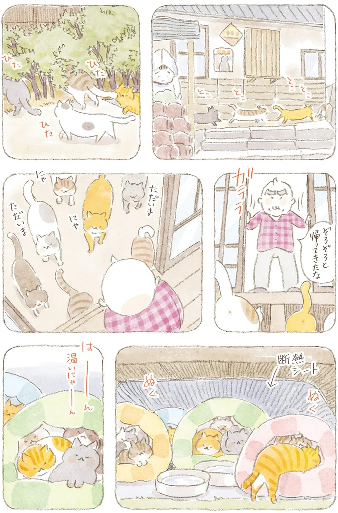 『ねことじいちゃん』6～11 15824749.webp