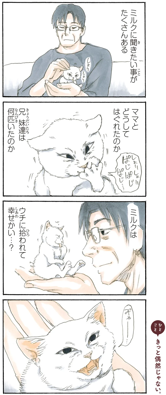 『拾い猫のモチャ1～8』 15842792.webp