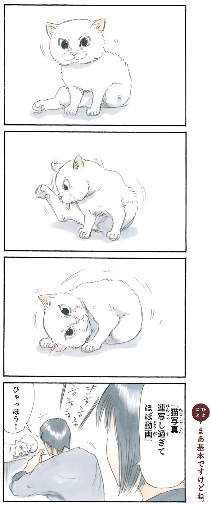 『拾い猫のモチャ1～8』 15842797.webp