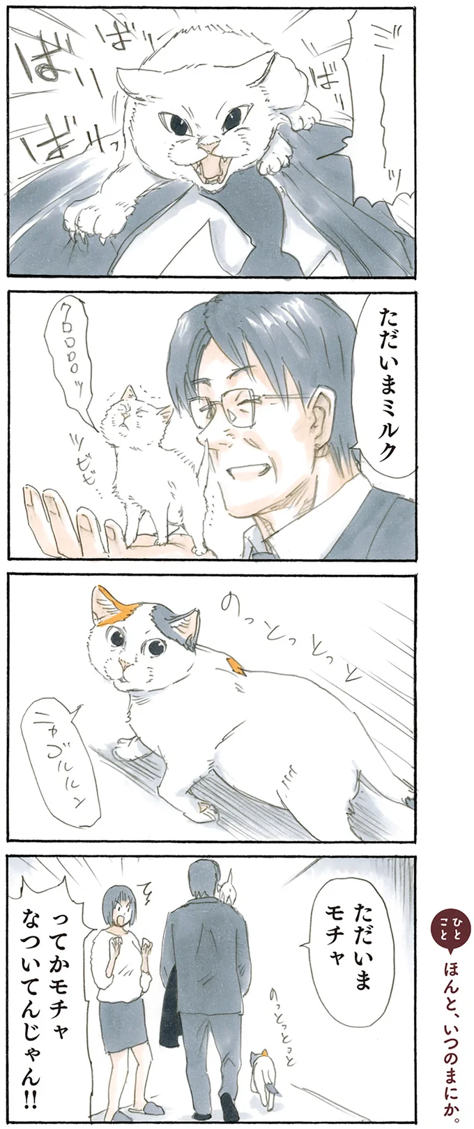 『拾い猫のモチャ1～8』 15842798.webp