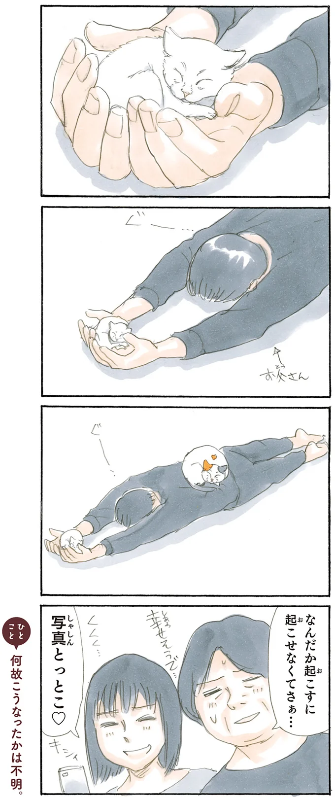 『拾い猫のモチャ1～8』 15842799.webp