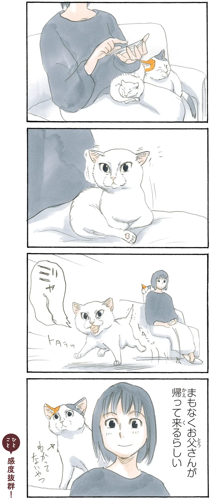 『拾い猫のモチャ1～8』 15842802.webp