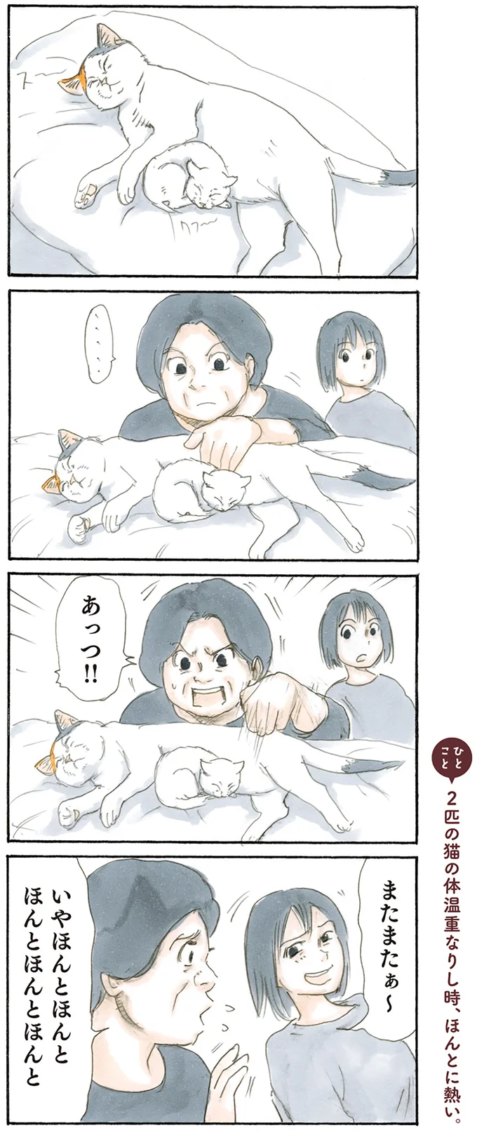 『拾い猫のモチャ1～8』 15842803.webp