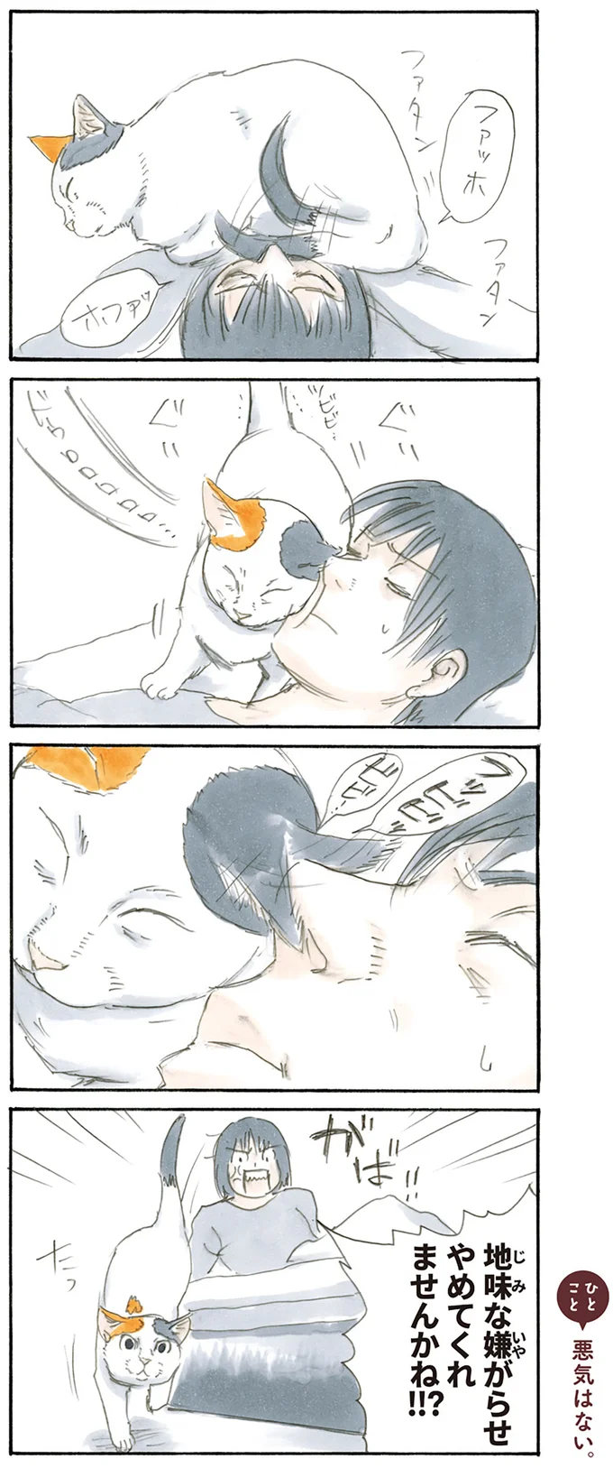 『拾い猫のモチャ1～8』 15842837.webp