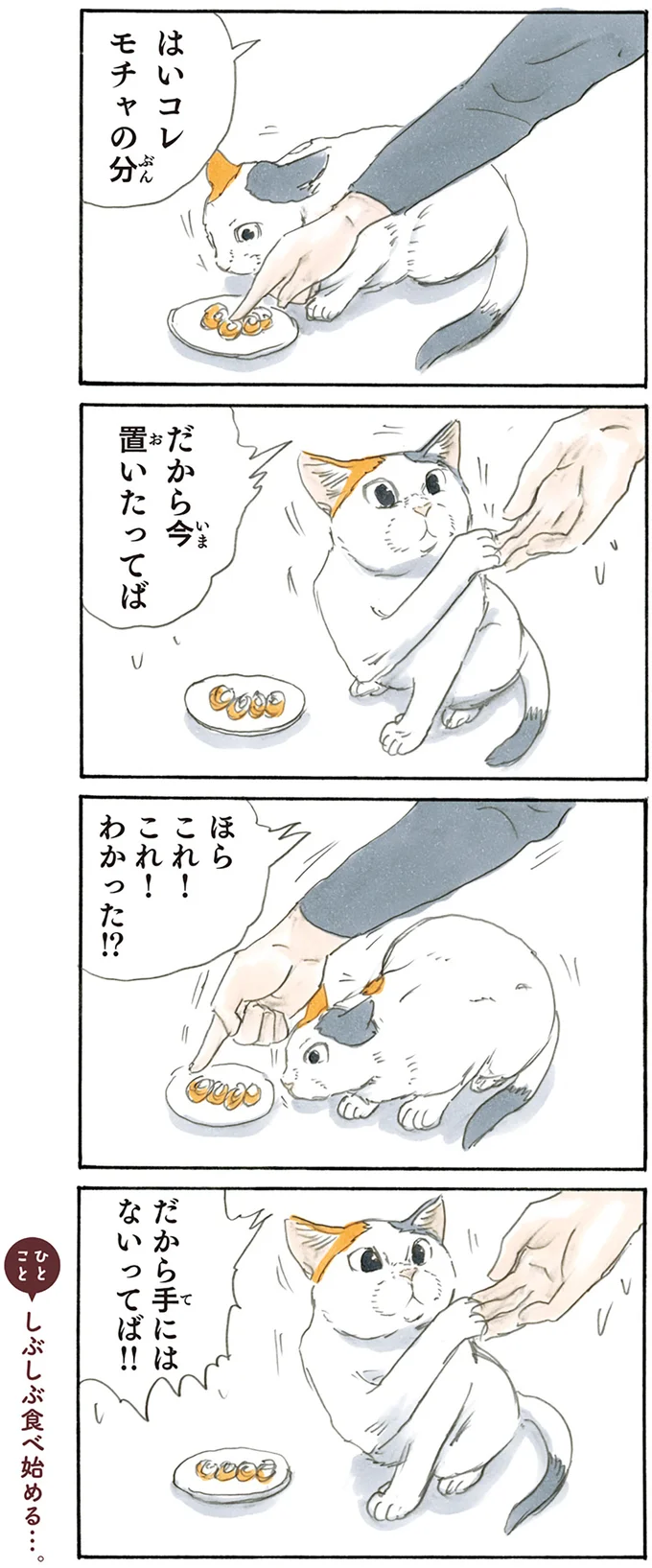 『拾い猫のモチャ1～8』 15842907.webp