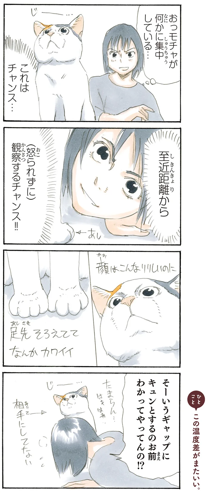 『拾い猫のモチャ1～8』 15842910.webp