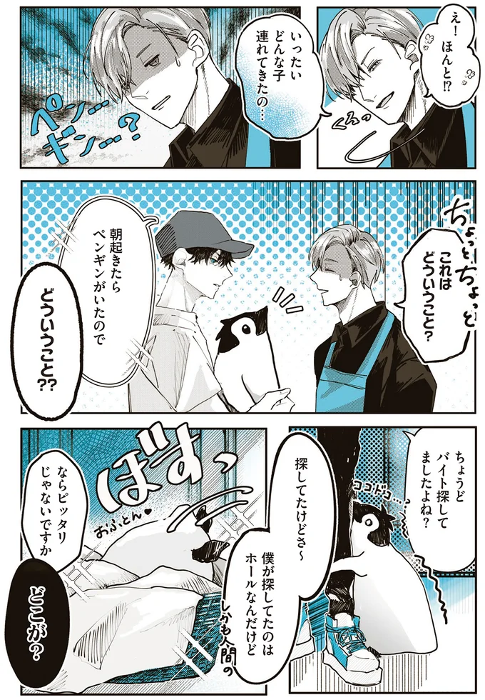 新しいアルバイトはペンギン!? SNSに投稿したらバズると言われ、店長も即採用／ペンギン喫茶は今日も青天 15843474.webp