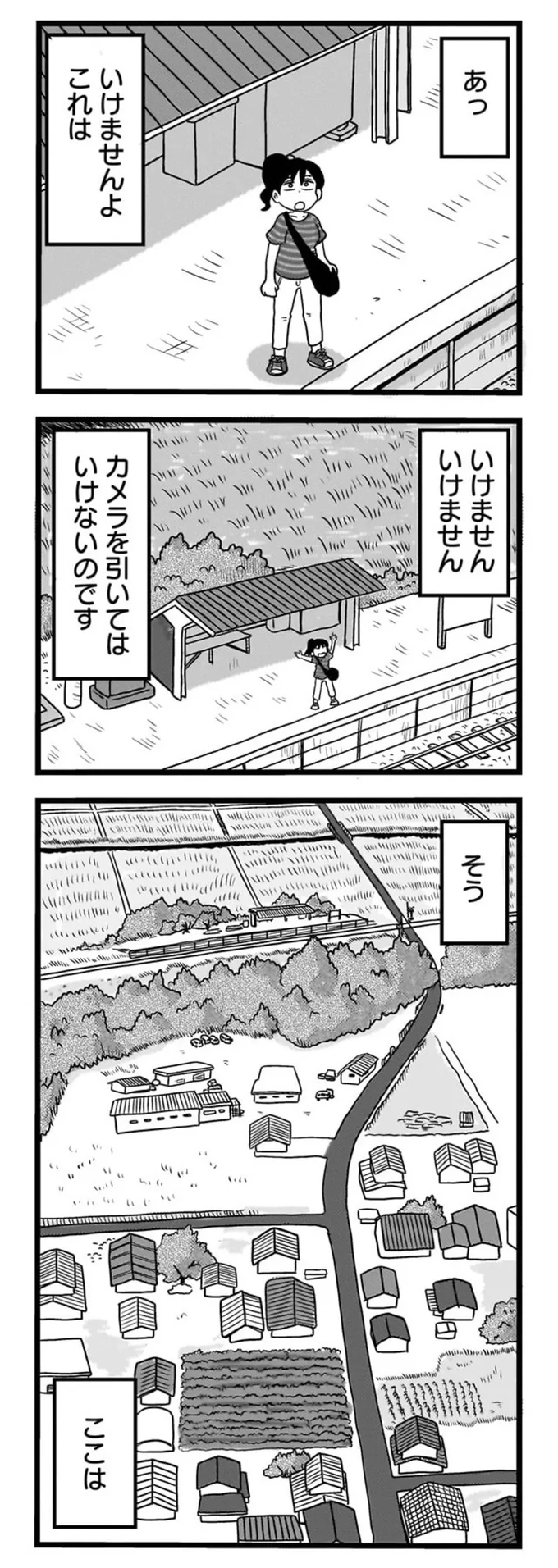 『駅はあるうちに行け 全国無人駅ひとり旅』 15844566.webp