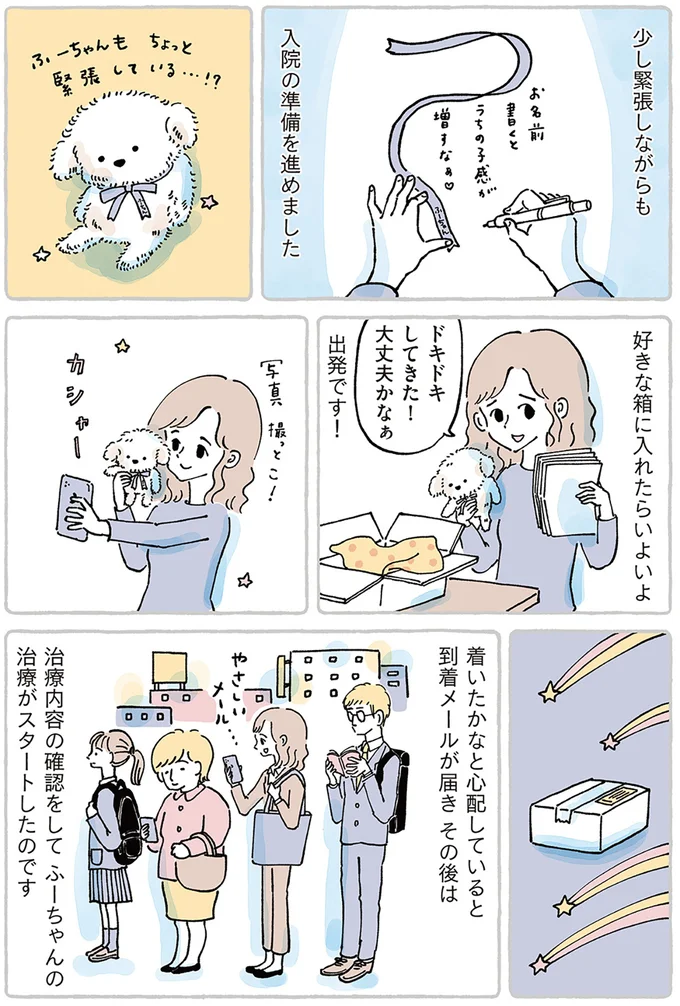 『わたしのぬいぐるみさん』 15867513.webp