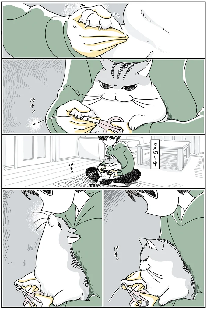 『夜は猫といっしょ』4～6 15895302.webp