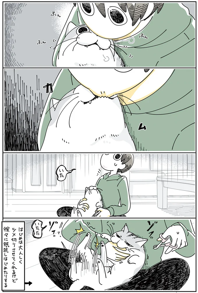 『夜は猫といっしょ』4～6 15895303.webp