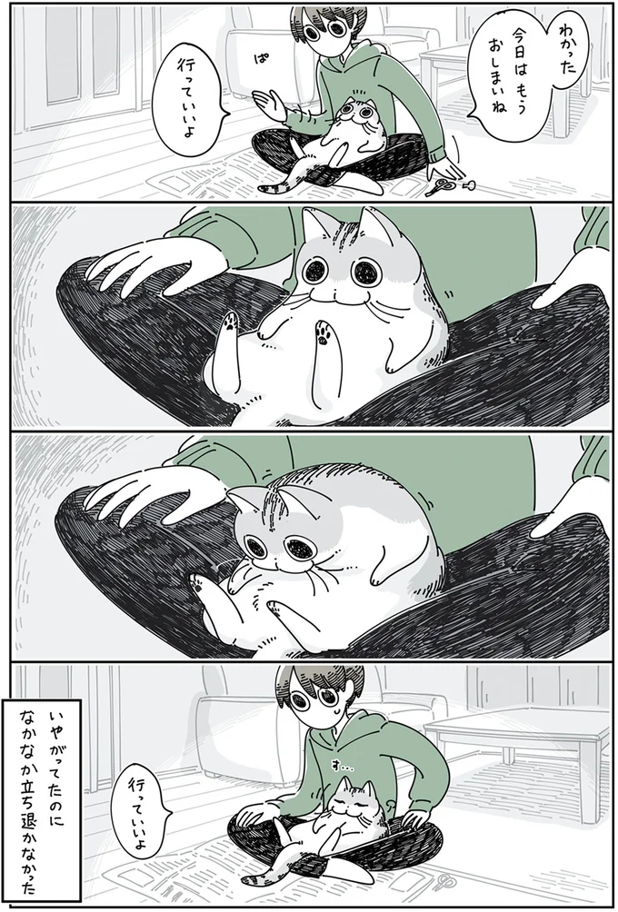 『夜は猫といっしょ』4～6 15895304.webp