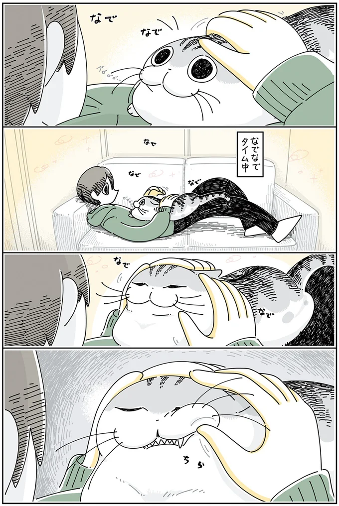 『夜は猫といっしょ』4～6 15895305.webp