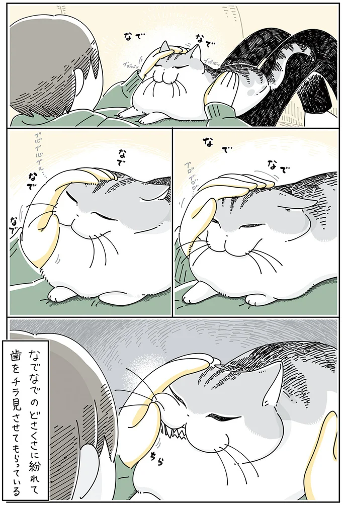 『夜は猫といっしょ』4～6 15895306.webp
