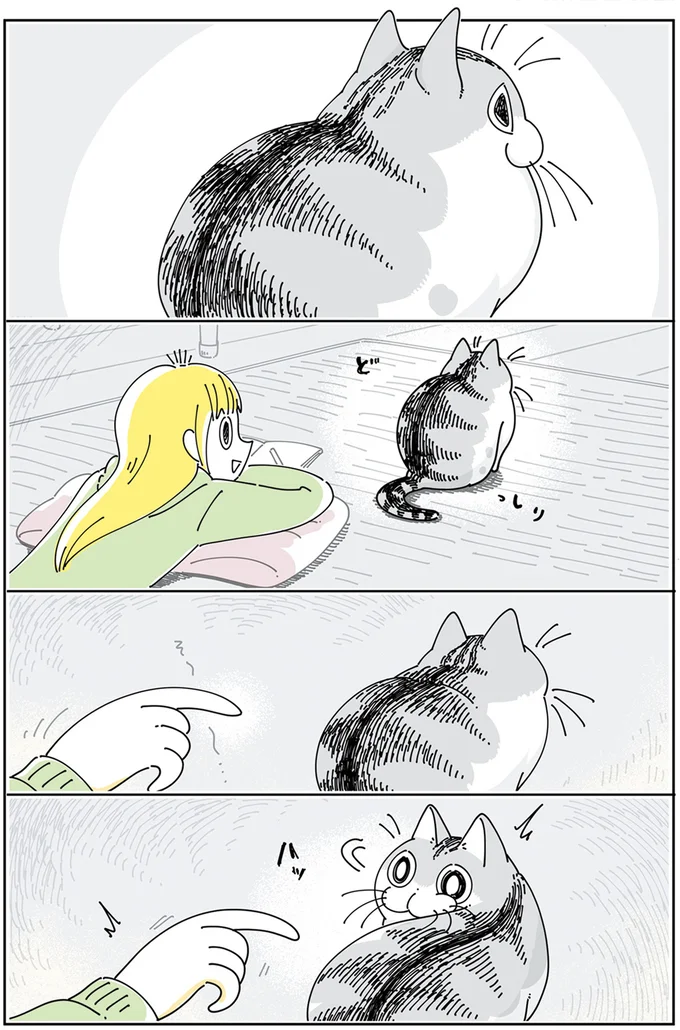 『夜は猫といっしょ』4～6 15895411.webp