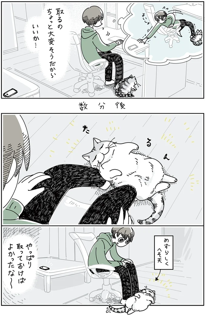 『夜は猫といっしょ』4～6 15895429.webp