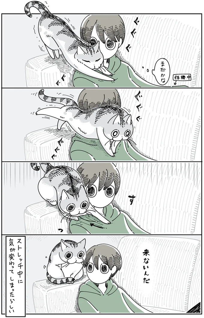 『夜は猫といっしょ』4～6 15895432.webp