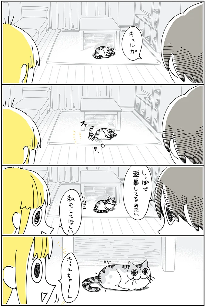 『夜は猫といっしょ』4～6 15895445.webp