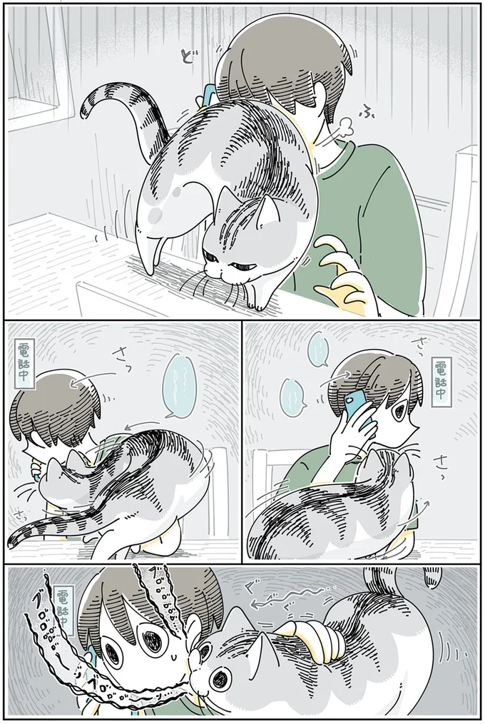 『夜は猫といっしょ』4～6 15895483.webp