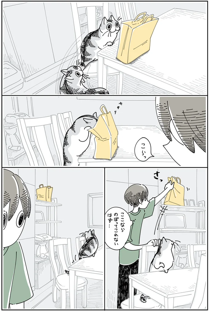 『夜は猫といっしょ』4～6 15895486.webp