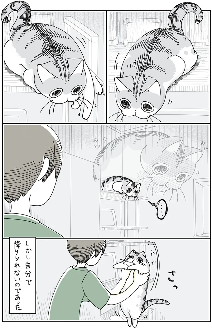 『夜は猫といっしょ』4～6 15895488.webp