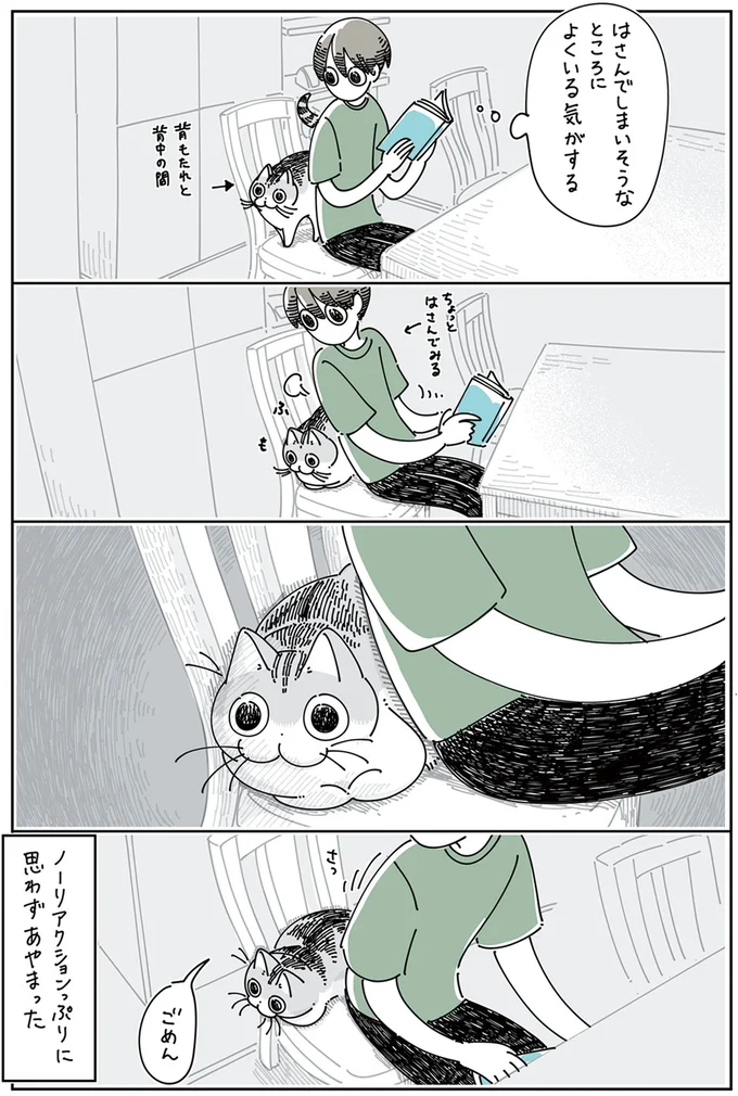 『夜は猫といっしょ』4～6 15895578.webp