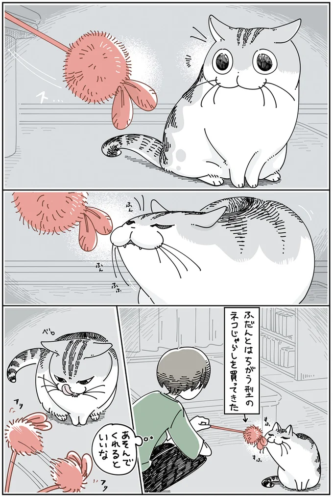 『夜は猫といっしょ』4～6 15895579.webp