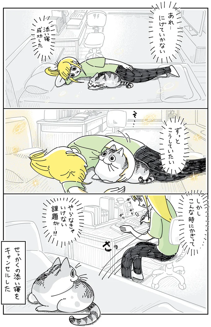 『夜は猫といっしょ』4～6 15895717.webp