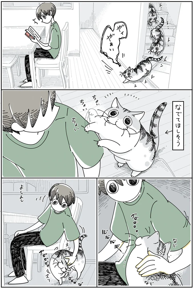 『夜は猫といっしょ』4～6 15896017.webp