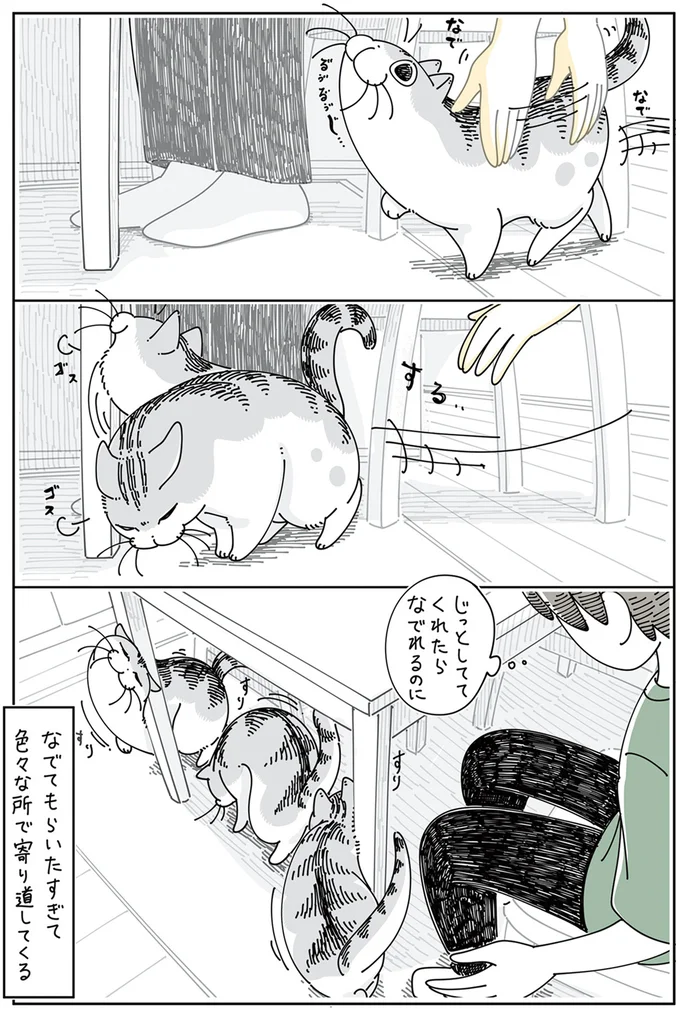 『夜は猫といっしょ』4～6 15896019.webp