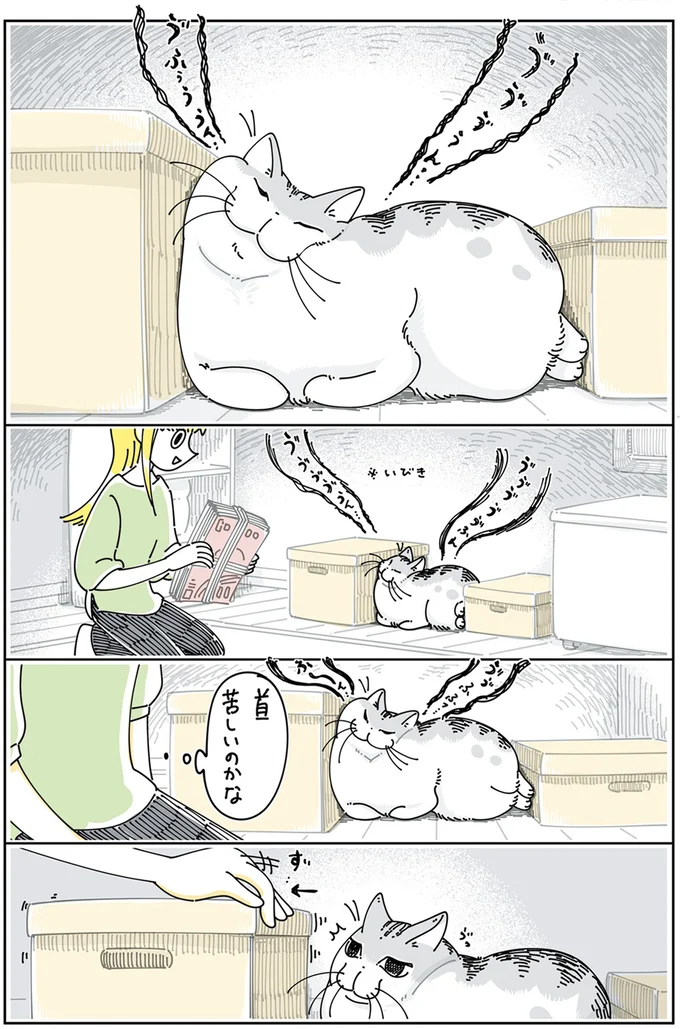 『夜は猫といっしょ』4～6 15896020.webp