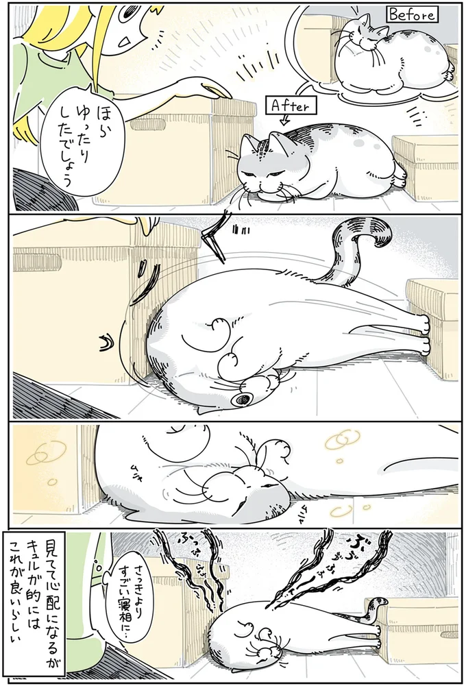 『夜は猫といっしょ』4～6 15896021.webp