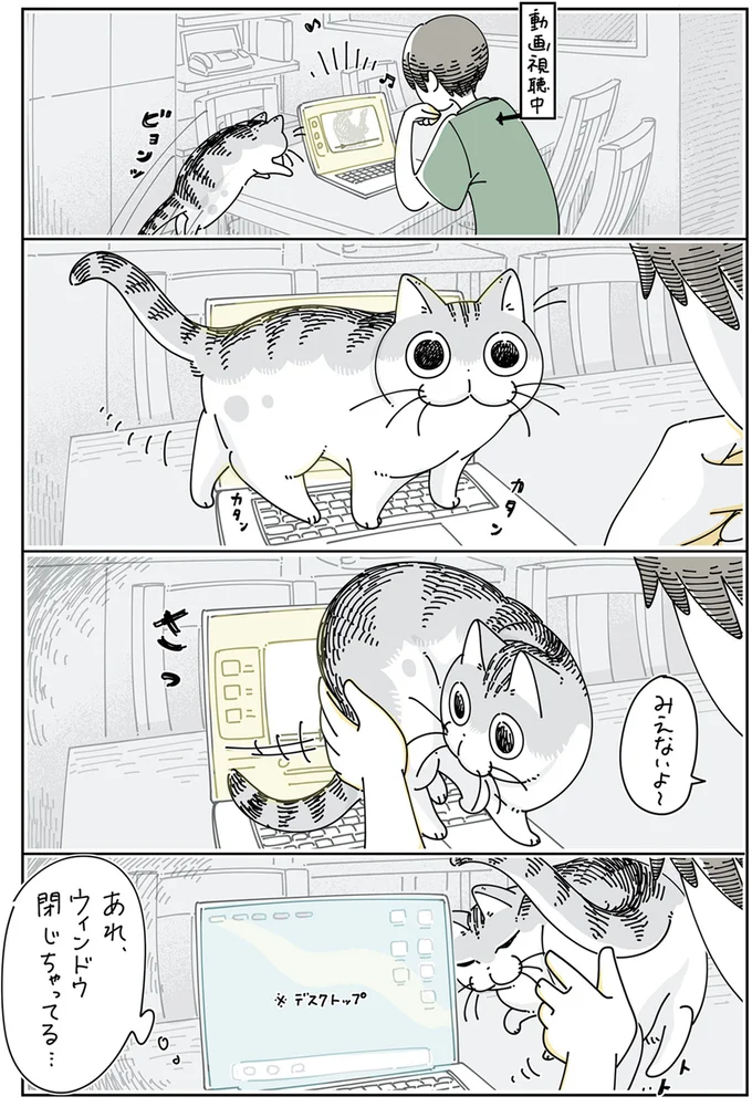 『夜は猫といっしょ』4～6 15896109.webp