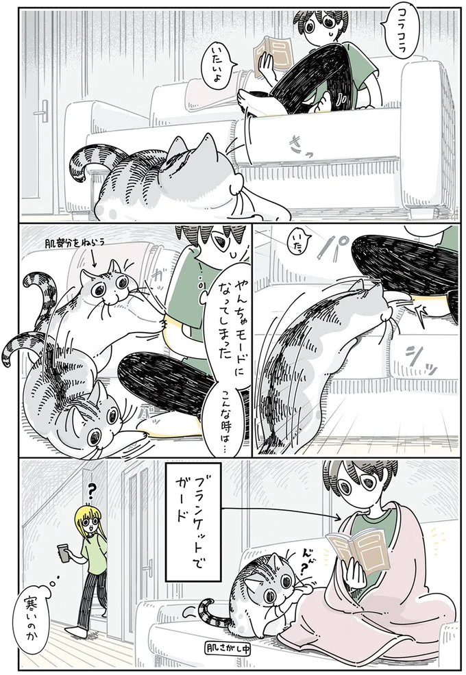 『夜は猫といっしょ』4～6 15896112.webp