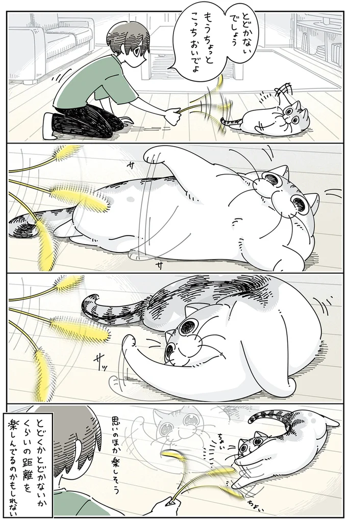 『夜は猫といっしょ』4～6 15896140.webp