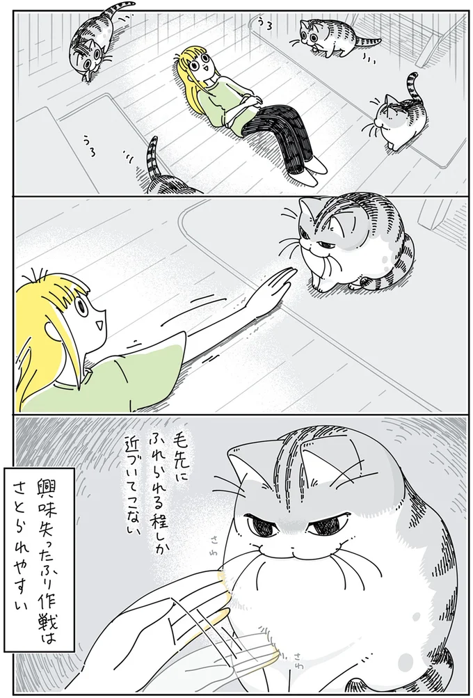 『夜は猫といっしょ』4～6 15896274.webp