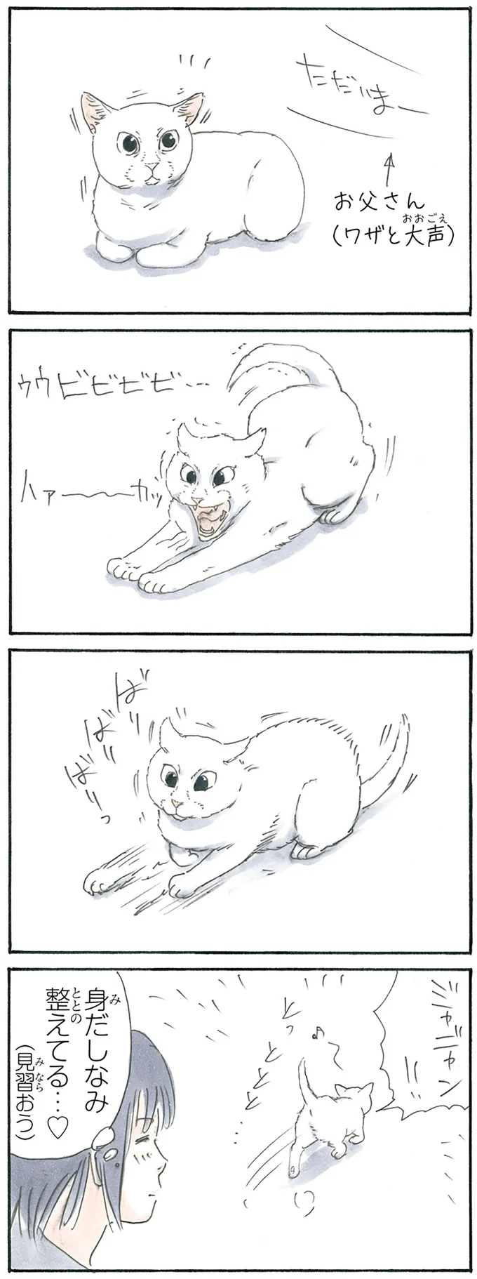 『拾い猫のモチャ1～8』 15896404.webp