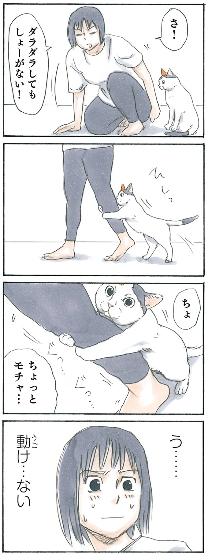 『拾い猫のモチャ1～8』 15896634.webp