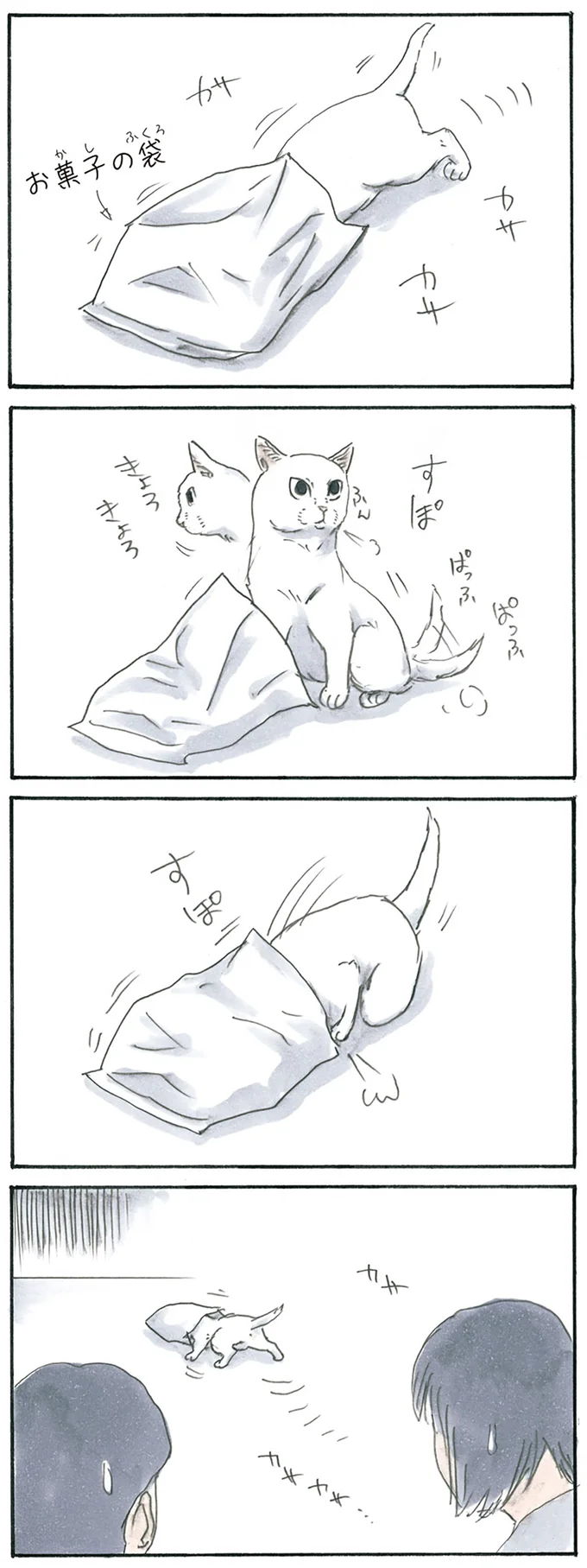 『拾い猫のモチャ1～8』 15896638.webp