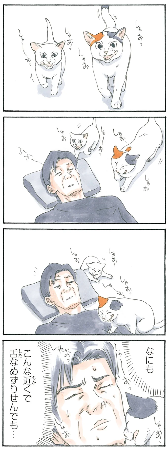 『拾い猫のモチャ1～8』 15896639.webp